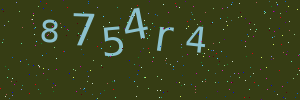 Validation image